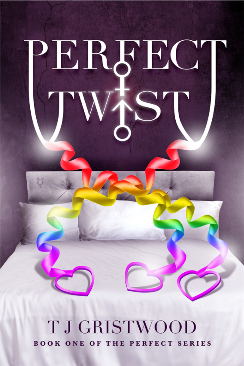 Cover of Perfect Twist by T. J. Gristwood